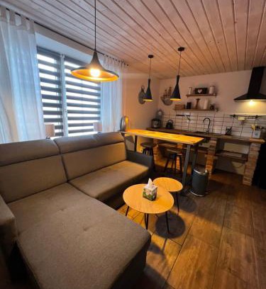 Sluknov Apartment | Loft Apartments