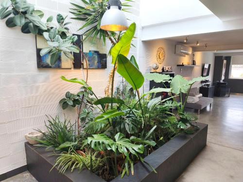 Alfafara Apartment | loft CARRASKETA
