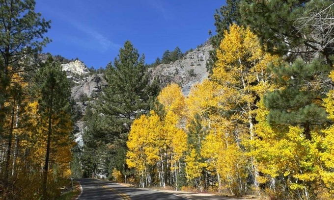 Bear Valley Condo | Loft Condo w/ Bonus Area - Creekside #7 by Bear Valley Vacation Rentals