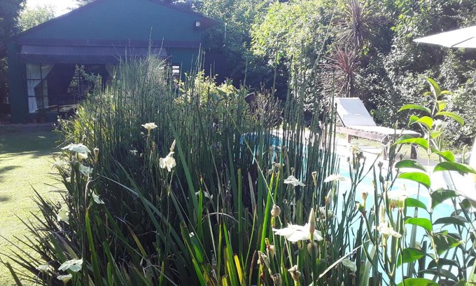 Mercedes Hotel | Loft Verde que te quiero Verde