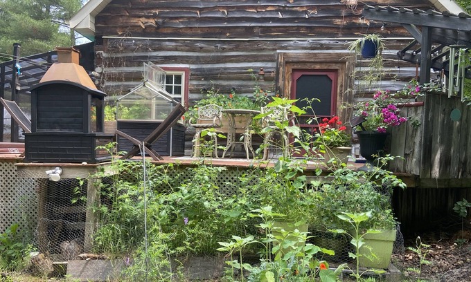 Mountain Grove Cabin | Log Cabin Getaway for Nature Lovers. An escape from the city with animal friends