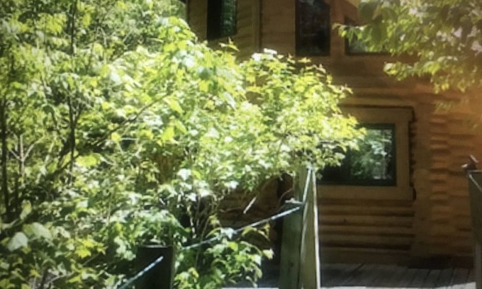Duluth Cabin | Log cabin!!