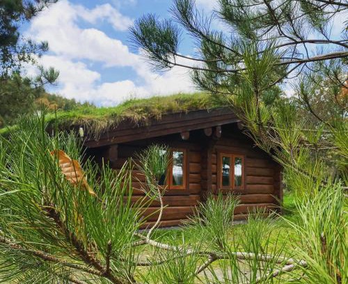 Newland Near Ulverston Cabin | Log home village