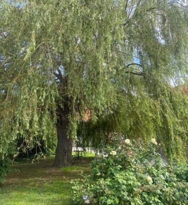 Volckerinckhove House | Logement atypique