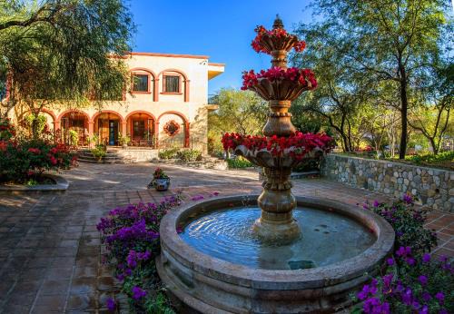 El Volantin Bed & Breakfast | Loma de Guadalupe Alamos Sonora