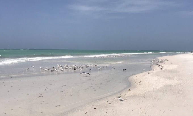 Whitney Beach House | Longboat Key with Gulf to Bay access. Beautiful view of Bishop's Bayou.