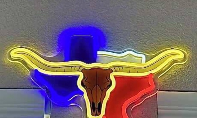 McNeil Apartment | Longhorn-Themed 2BR | Near UT & Q2 Stadium