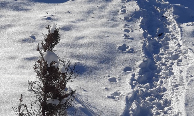 Tay Valley Ski Chalet | Longview: Private Hilltop Chalet on 88 Acres