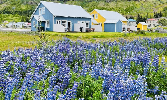 Seydisfjordur Apartment | Lonsleira Apartments
