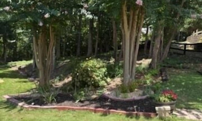 Braselton Apartment | Looking for a good price in a great location? You found it!