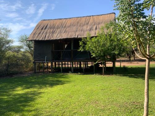 Ngoma Other | Lorato Camping