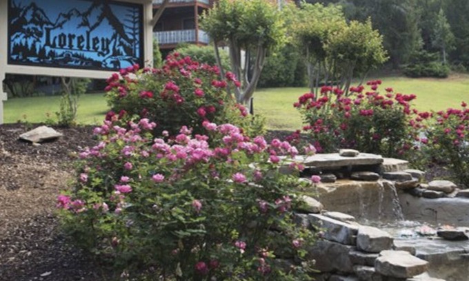 Helen Resort | Loreley place