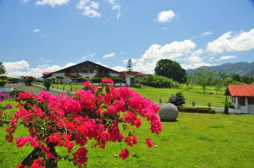 Arenal Hotel | Los Héroes