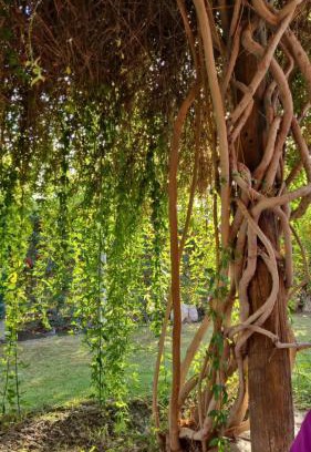 Villa Basilio Nievas House | Los Horneros