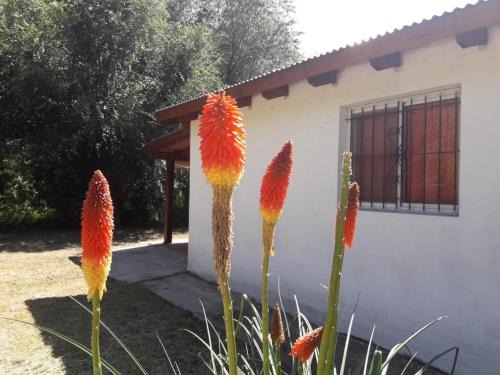 Los Reartes Ski Chalet | Los Manzanos