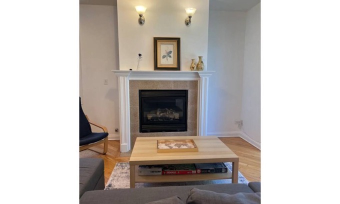 Washington Park Condo | Lovely 3 Bedroom Condo near University of Chicago & The McCormick Convention