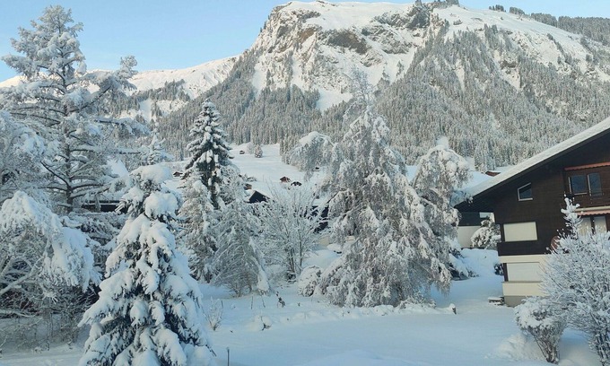 Lenk Apartment | Lovely apartment for 5 people with WIFI, balcony and parking