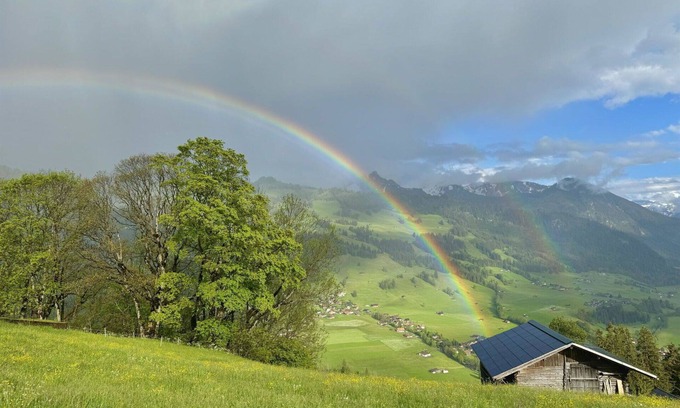 Zweisimmen Apartment | Lovely apartment for 3 guests with WIFI, balcony and pets allowed