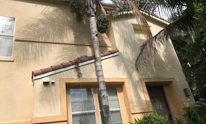 San Juan Capistrano House | Lovely Coastal~Equestrian 2 Story Home Near Beaches,Disney,Sea World,Golf,Hiking