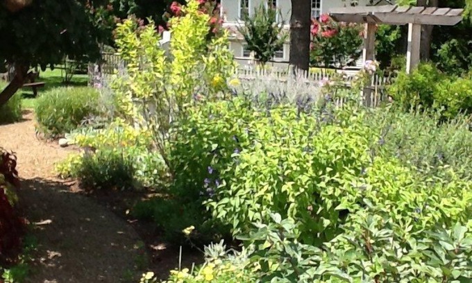 Wesley House | Lovely Country Guesthouse - Sleeps 6