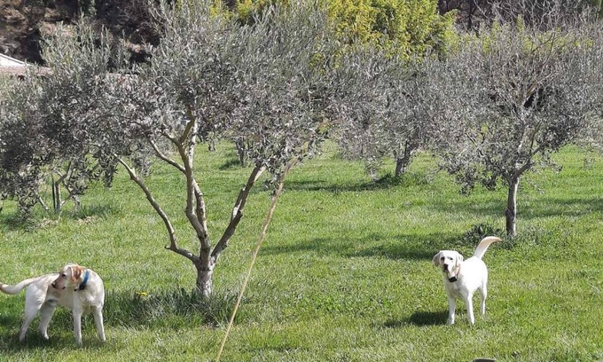 Puget Apartment | Lovely detached apartment in the countryside in a family-run farmhouse