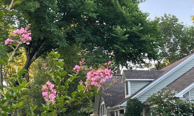 Muskogee House | Lovely home in country setting nestled on a hill overlooking creek and greenbelt
