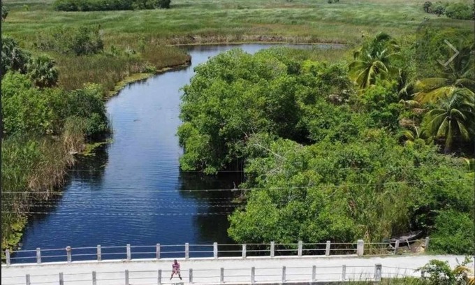Lacovia Bed & Breakfast | Lovely River view two bedrooms on The banks of Black River. Breakfast Included!