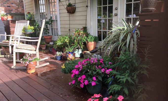 Uptown Historic District House | Lovely uptown camelback available; two bedrooms on private floor.
