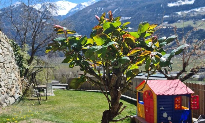 Silandro Apartment | Lovely vacation apartment for active people and those seeking peace and quiet in Silandro/Schlanders.