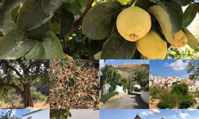 Bedar Villa | Lovely Villa in a protected Mountain Rural Setting