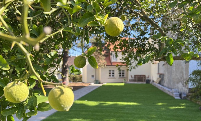 Mainz-Bingen House | Lovingly renovated Art Nouveau house with a large garden and terrace