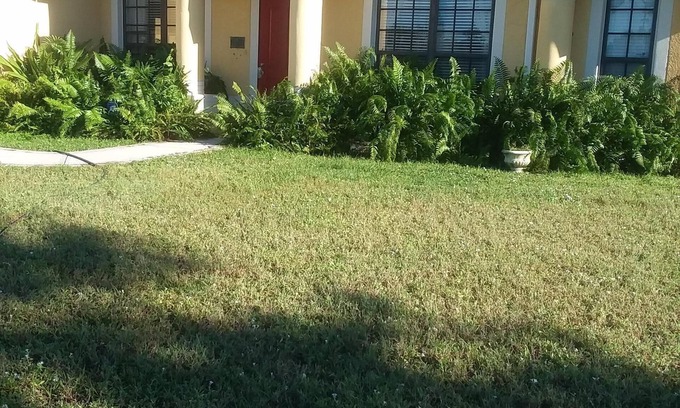 Port Malabar House | Low Priced , Clean , Beautiful , Well Equipped , Bright , Colorful and Cozy Hom