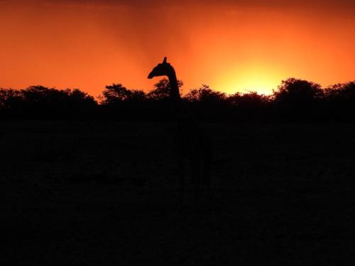 Vaalwater Cabin | LoWes Africa