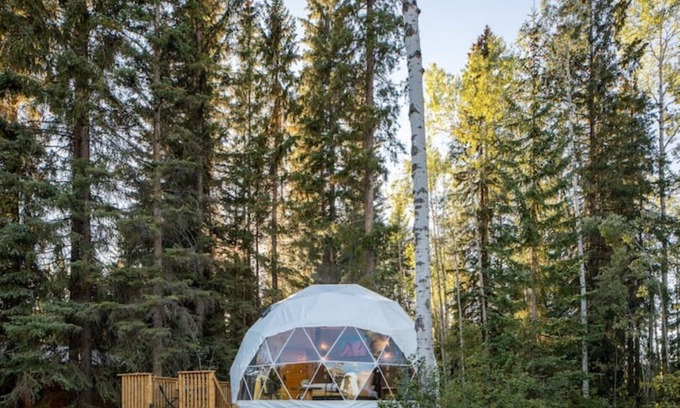 Blaeberry House | LSD- Luxe Serenity Dome @ The Blaeberry Base