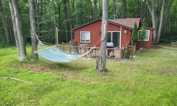 Harrison Cabin | Lucky Bear Lodge. Secluded Cabin in the Woods, Beach access. Pet friendly