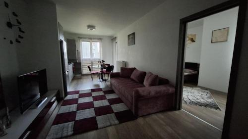 Tirgu Mures Apartment | Ludi House Apartment