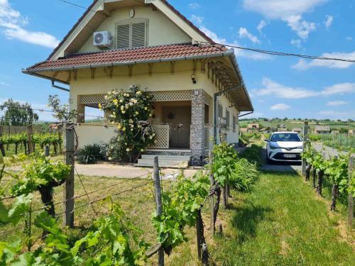 Villany Apartment | Lugas Apartman