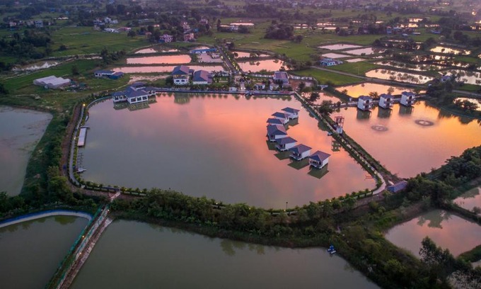 Sauraha Pharsatikar Hotel | Lumbini Palace Resort