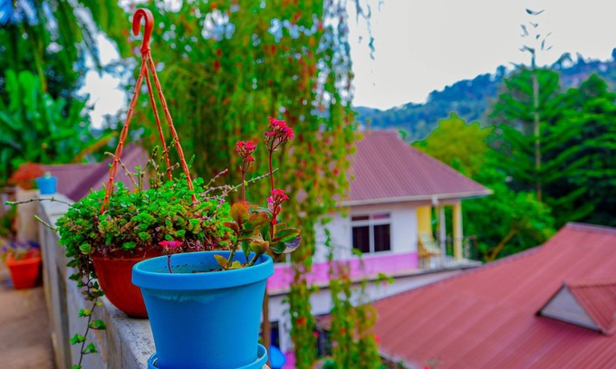 Lushoto Hotel | Lushoto Views Cottage