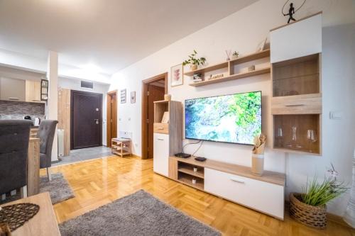 Pirot Apartment | Lux Apartmani Rakić