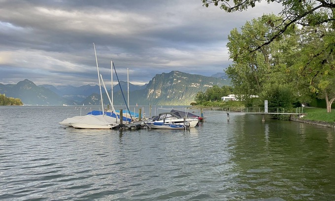 Horw Villa | Luxurious 3-floors Villa. Pets-Friendly! 5 min to the city centre of Lucerne!