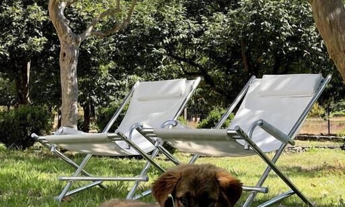Lousa Apartment | Luxurious apartment at Quinta do Areal country house