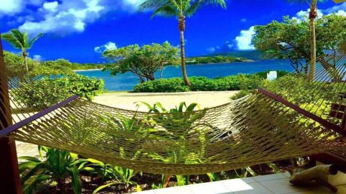 Red Hook Apartment | Luxurious Beachfront Condo! Paradise at your toes