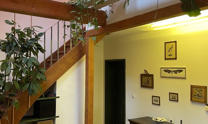 Wustrau-Altfriesack House | Luxurious country house with many extras in the Ruppiner Luch, up to 6 people
