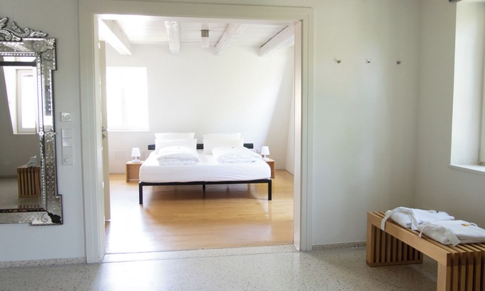 Riedlingen Apartment | Luxurious modern studio apartment in villa with park near historic old town