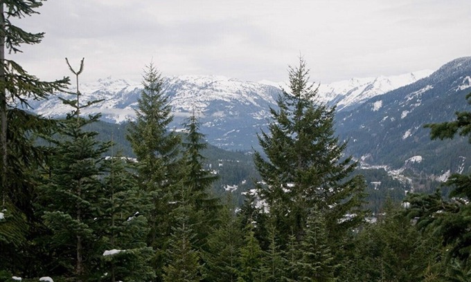 Nordic Estates House | Luxury 4 Bedroom TRUE Ski in/ski out Townhome in Exclusive Taluswood