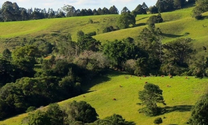 Montville Bed & Breakfast | Luxury Accommodation - Lewis