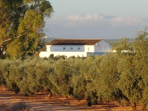 Sierra de Yeguas Villa | Luxury accomodation off grid