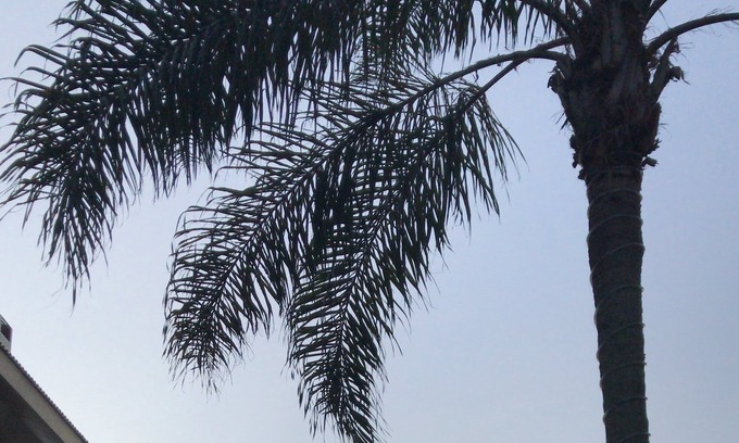 Cachoeira do Bom Jesus Apartment | Luxury and Tranquility in front of the sea in Bom Jesus Waterfall