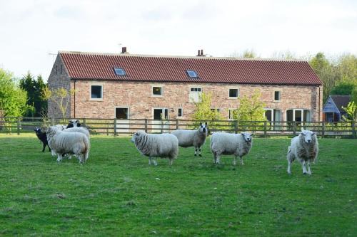 Sutton on the Forest House | Luxury Barn with sauna near York welcoming families, friends, groups